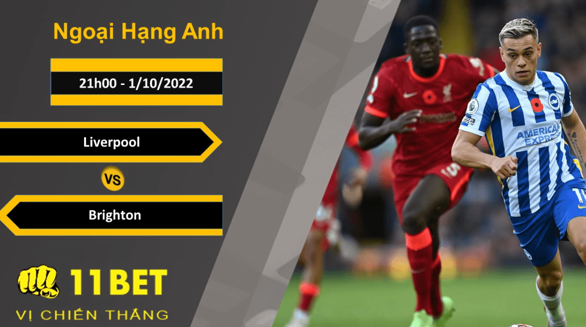 11BET Soi kèo Liverpool vs Brighton, 21h00, 1/10/2022